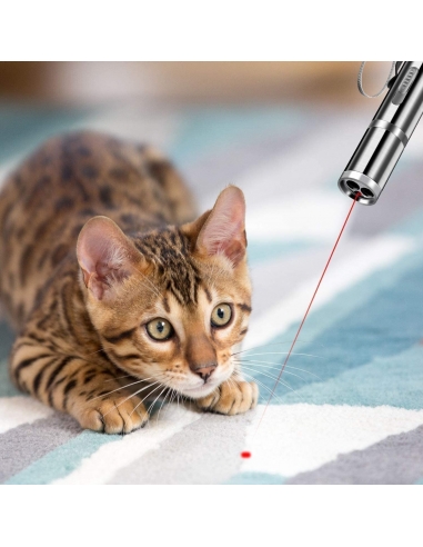 Giocattoli per Gatti e Cani Aiusmcbsy...