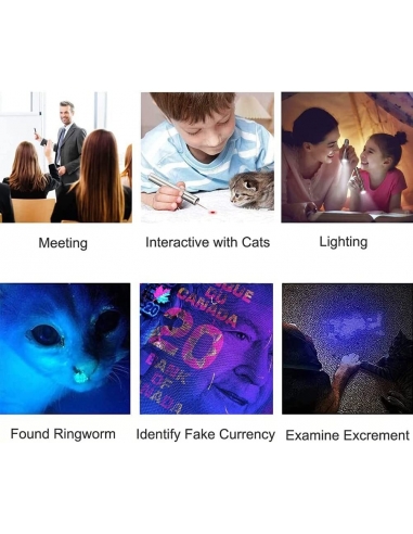 Giocattoli per Gatti e Cani Aiusmcbsy...