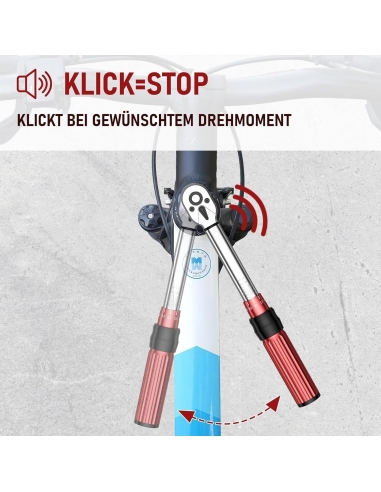 Set di chiavi dinamometriche per...