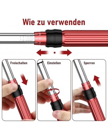 Set di chiavi dinamometriche per...