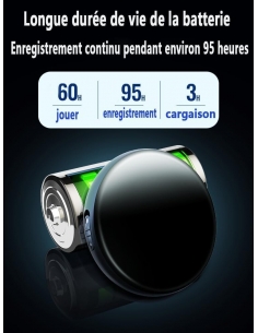 Mini Recorder voice... 2