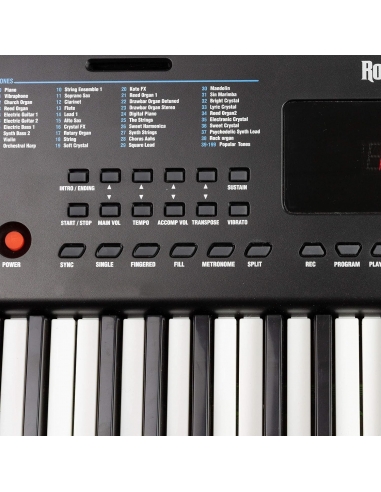RockJam RJ361 Tastiera compatta 61...