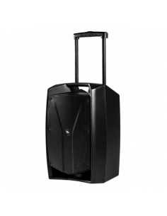 PROEL V 12 WAVE CASSA...