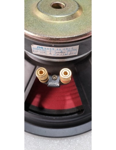 TUBE 250 Woofer universale da 10"...