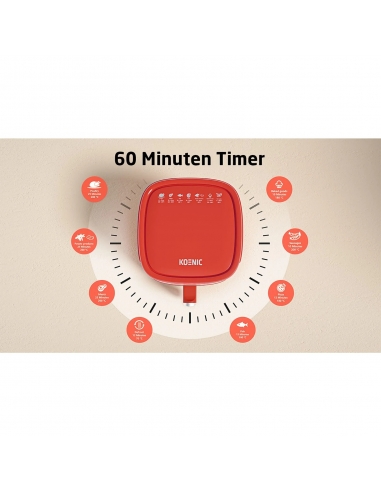 Koenic KAF 41324 R Friggitrice ad...