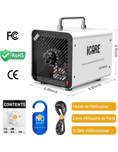 ICARE HS-02 30T Generatore Ozono...