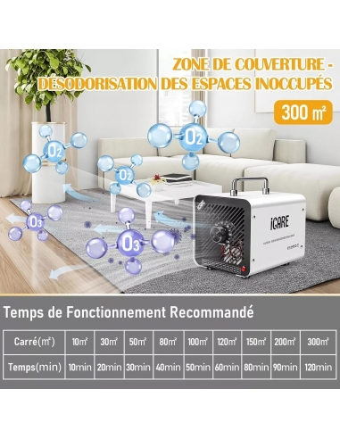 ICARE HS-02 30T Generatore Ozono...