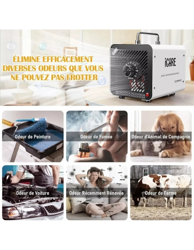 ICARE HS-02 30T Generatore Ozono...