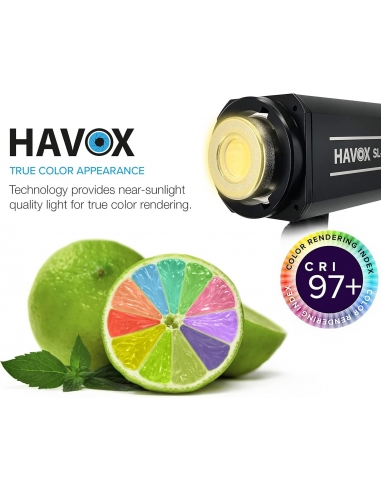 HAVOX  SL-150XS - Softbox Luce...