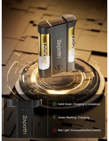 Zepath Confezione da 2 batterie AA...