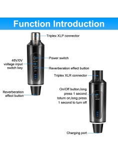 XLR Wireless Sistema di... 2