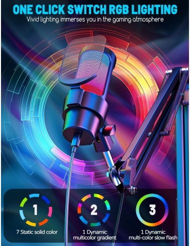 OBVHNUA Microfono con Asta per Gaming...