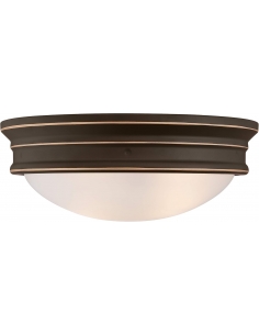 Westinghouse Lighting 63706...