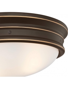 Westinghouse Lighting 63706... 2