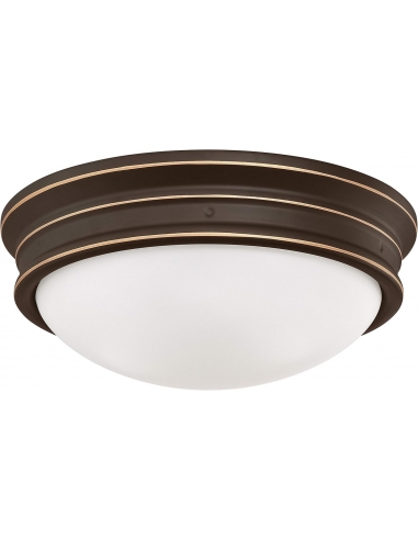 Westinghouse Lighting 63706...