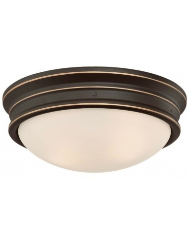 Westinghouse Lighting 63706...