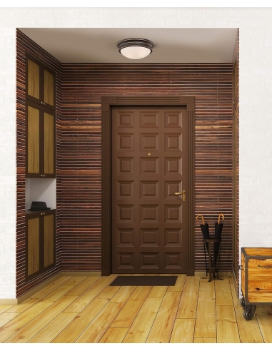 Westinghouse Lighting 63706...