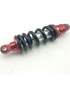 Ammortizzatore Sospensione...