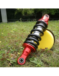 Ammortizzatore Sospensione... 2