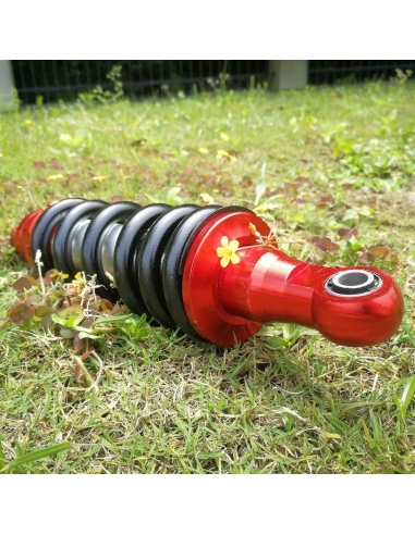 Ammortizzatore Sospensione Posteriore...