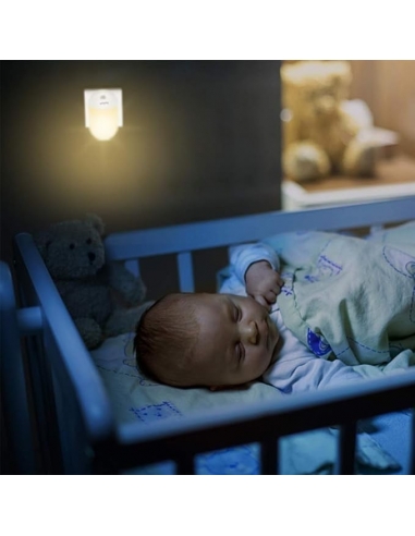 Wellead Presa Luce Notturna con...