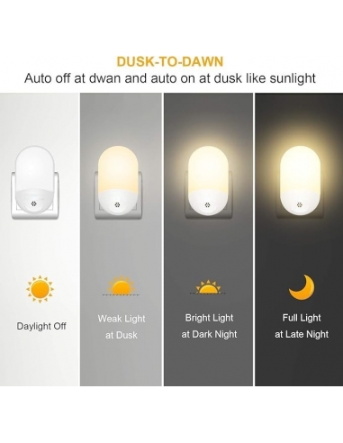 Wellead Presa Luce Notturna con...