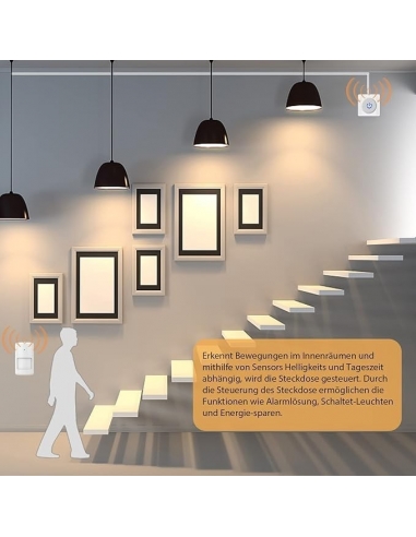 Presa Rilevatore Movimento, Milduall...