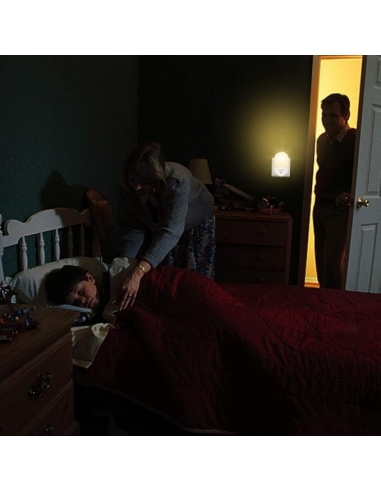 NetBoat Presa Luce Notturna con...