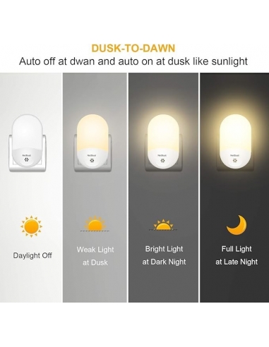 NetBoat Presa Luce Notturna con...