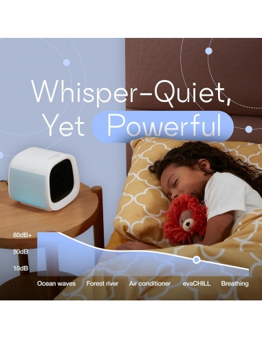 EVACHILL - Raffreddatore d'aria e... EVACHILL - Raffreddatore d'aria e...