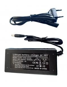 Caricabatteria Caricatore...