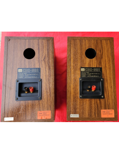 ESB CDX-SB1 - CASSE AUDIO - 50W -...
