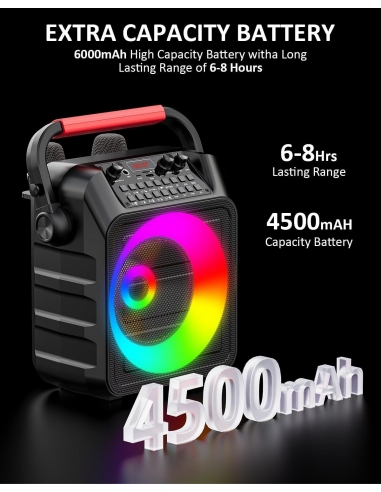 Karaoke K256 con 2 microfoni Cassa...