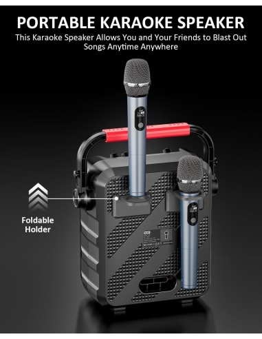 Karaoke K256 con 2 microfoni Cassa...