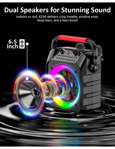 Karaoke K256 con 2 microfoni Cassa...