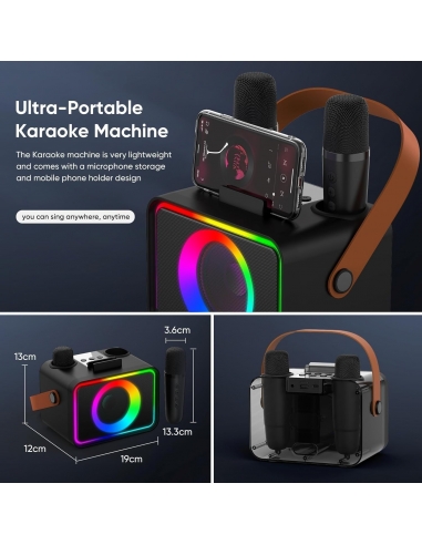 Karaoke K26 con 2 microfoni per... Karaoke K26 con 2 microfoni per...