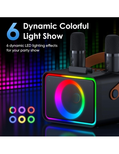 Karaoke K26 con 2 microfoni per... Karaoke K26 con 2 microfoni per...