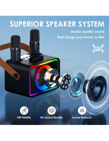 Karaoke K26 con 2 microfoni per... Karaoke K26 con 2 microfoni per...