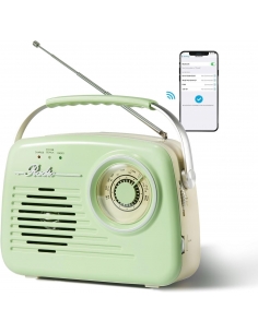 Bingxue Radio portatile AM...