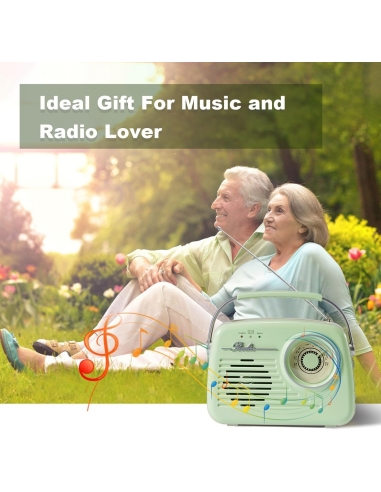 Bingxue Radio portatile AM FM...