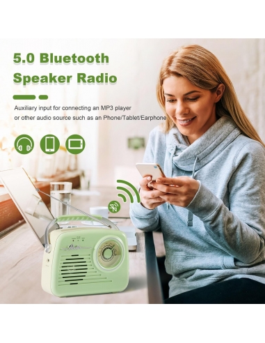 Bingxue Radio portatile AM FM...