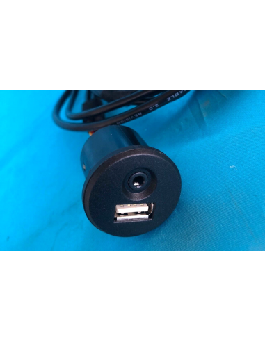 PRESA PROLUNGA VOLANTE USB + AUX JACK...