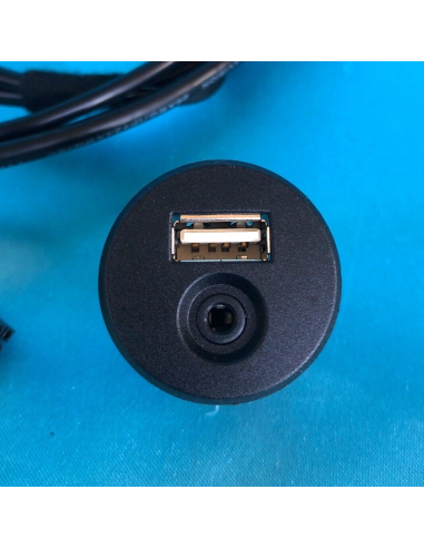 PRESA PROLUNGA VOLANTE USB + AUX JACK...
