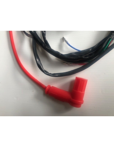 Bobina di accensione da competizione...