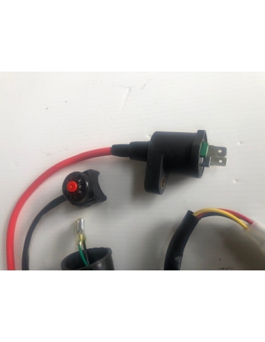 Bobina di accensione da competizione...