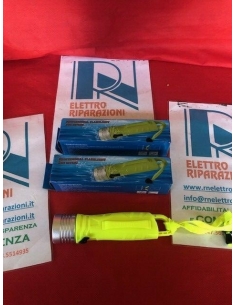 Torcia subacquea... 2