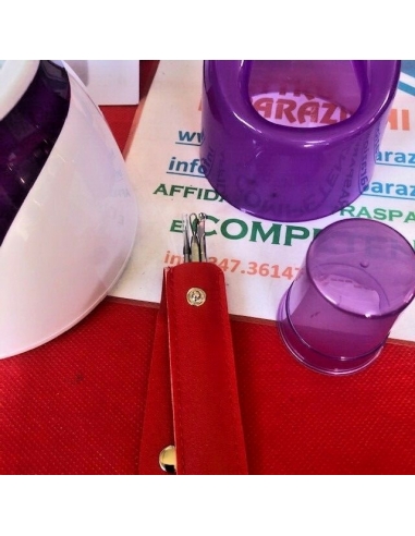 Vaporizzatore viso NTFS-618...