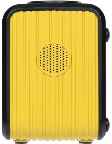 ROCKSOLAR RS81 Weekender 80W Power...