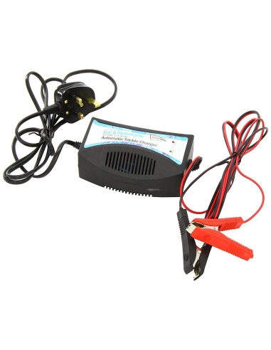 Streetwize Caricabatteria automatico...