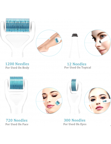Dermaroller 6 in 1 Kit di alta...